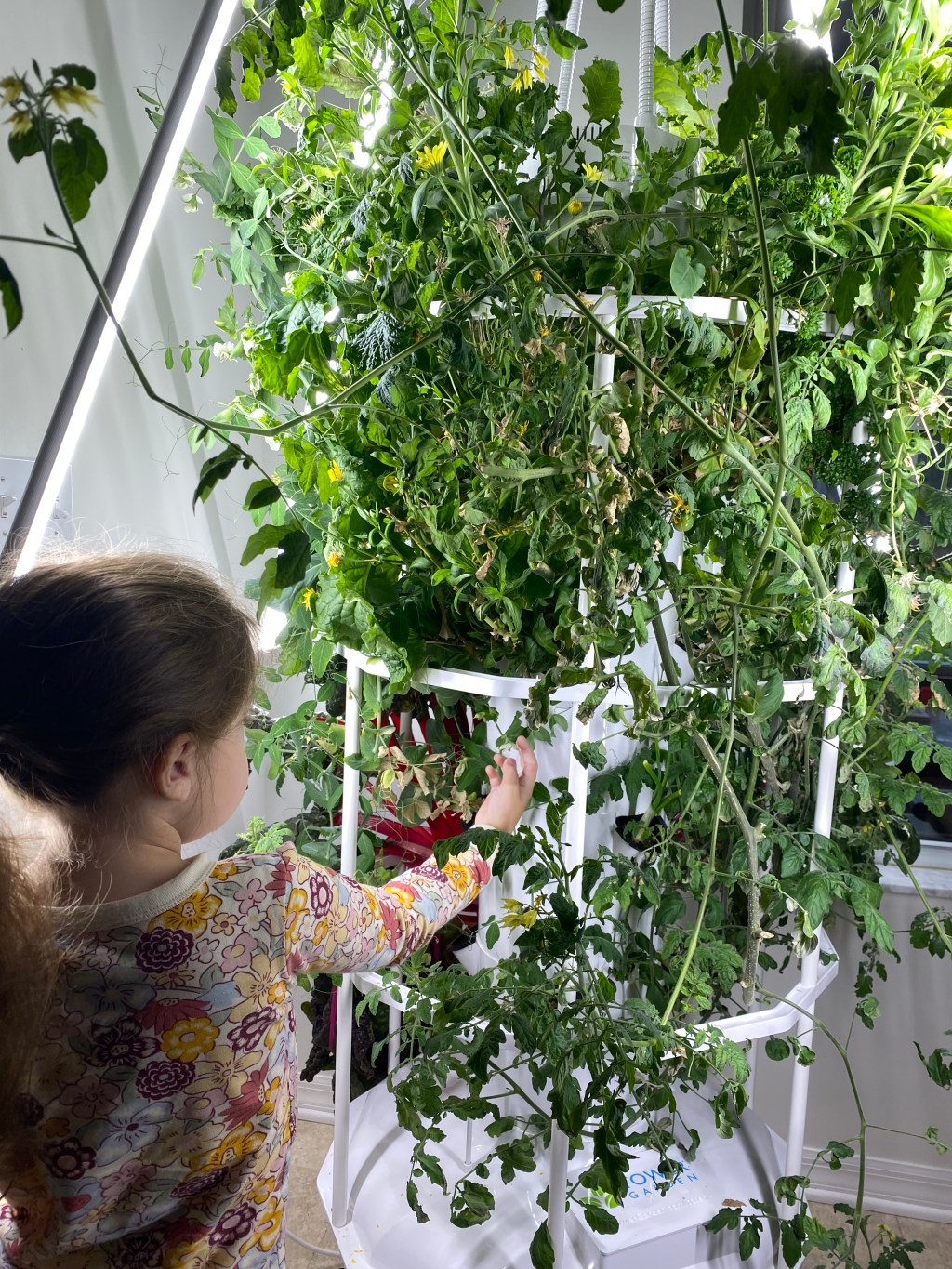 One Year of Growing in the Tower Garden: Pros and&nbsp;Cons