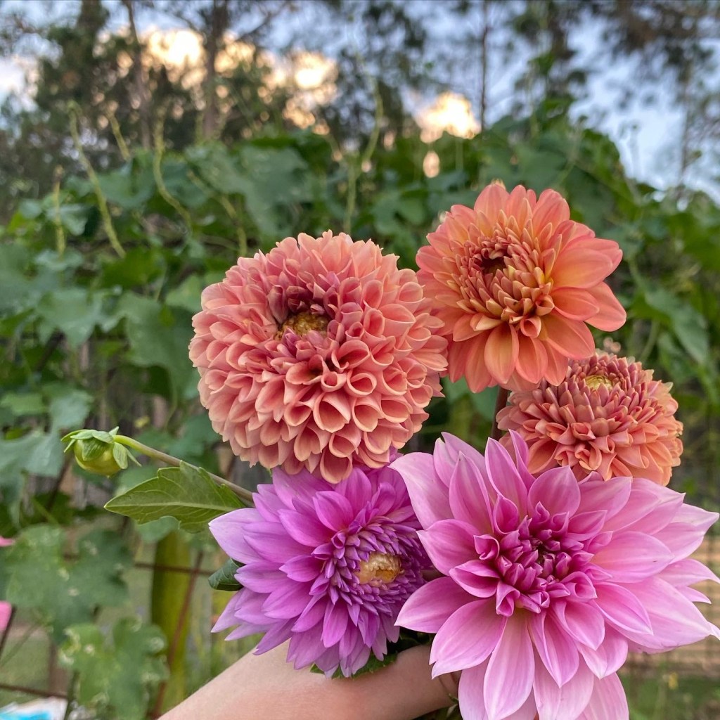 Hope Bouquet #1: April&nbsp;2022